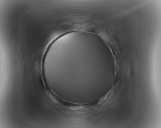 X0000086220100200704121904