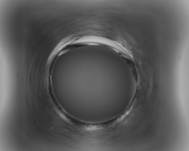 X0000086220101200704121904