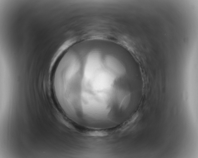 X0000086220102200704121904