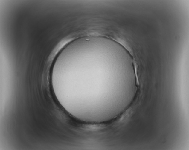 X0000086220103200704121904