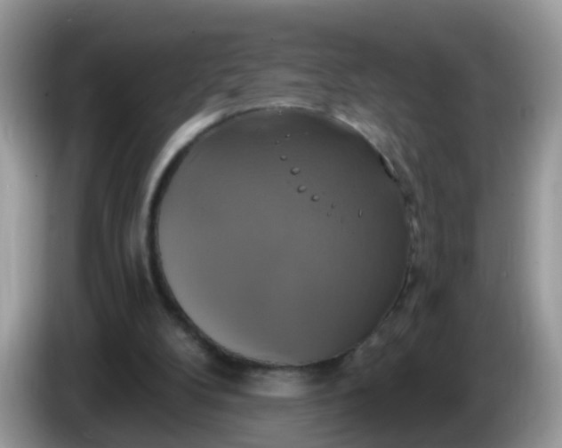 X0000086220104200704121904