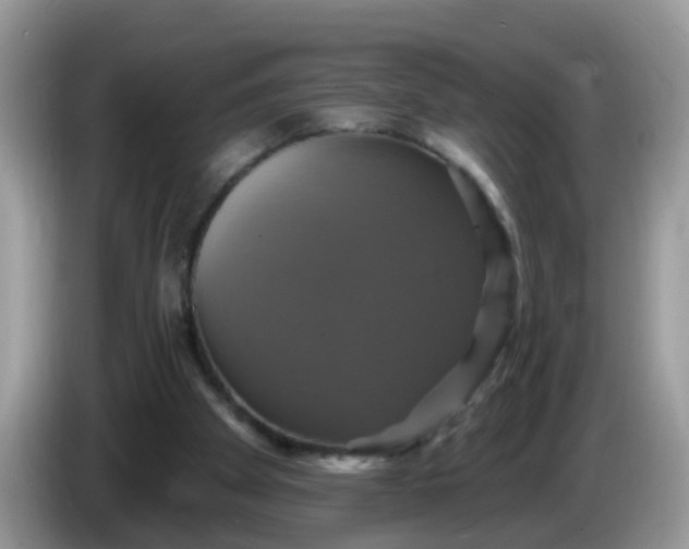 X0000086220105200704121904