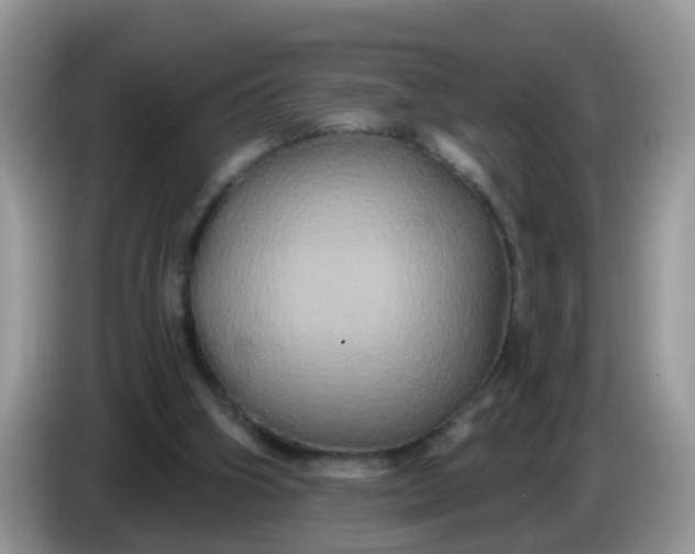 X0000086220106200704121904