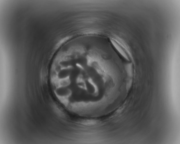 X0000086220107200704121904