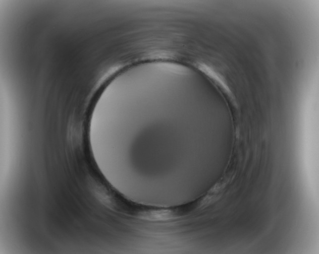 X0000086220108200704121904