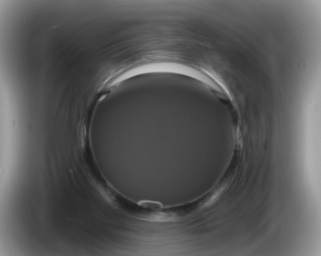 X0000086220109200704121904