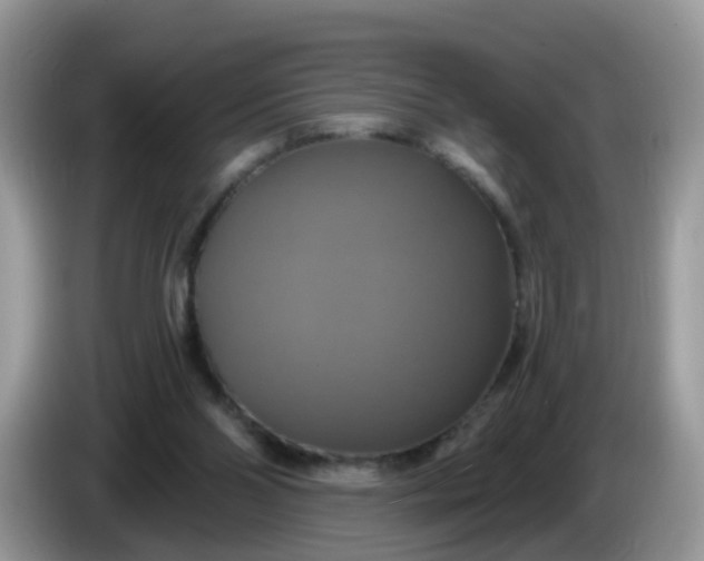 X0000086220110200704121904