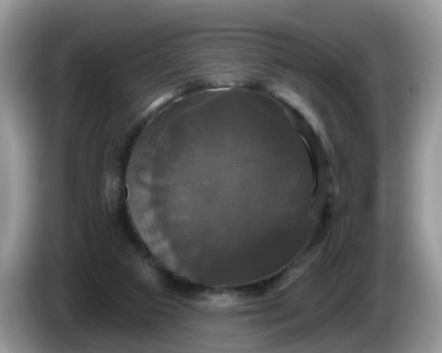 X0000086220113200704121904