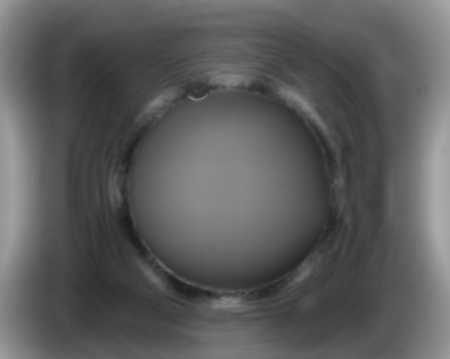 X0000086220114200704121904