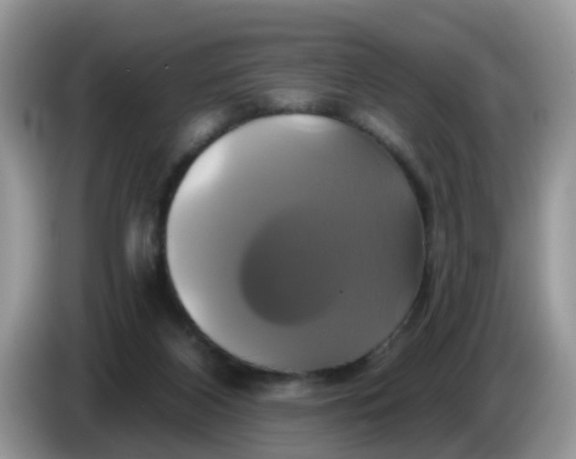 X0000086220116200704121904