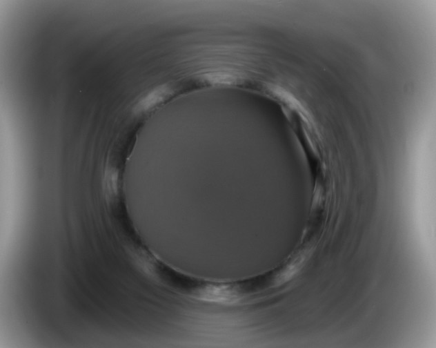 X0000086220117200704121904