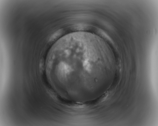 X0000086220119200704121904