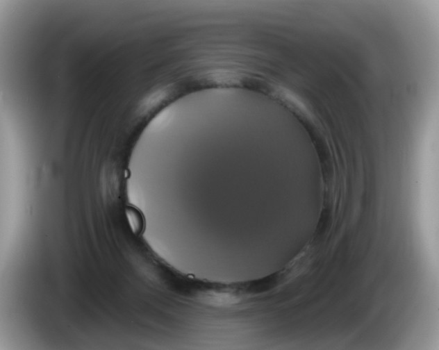 X0000086220120200704121904