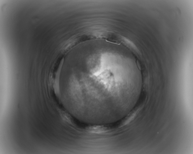 X0000086220121200704121904