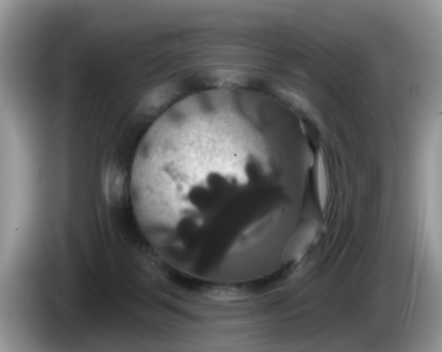 X0000086220123200704121904