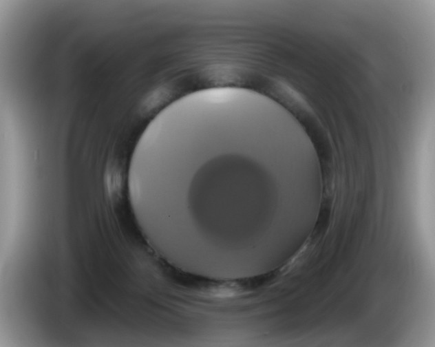 X0000086220124200704121904