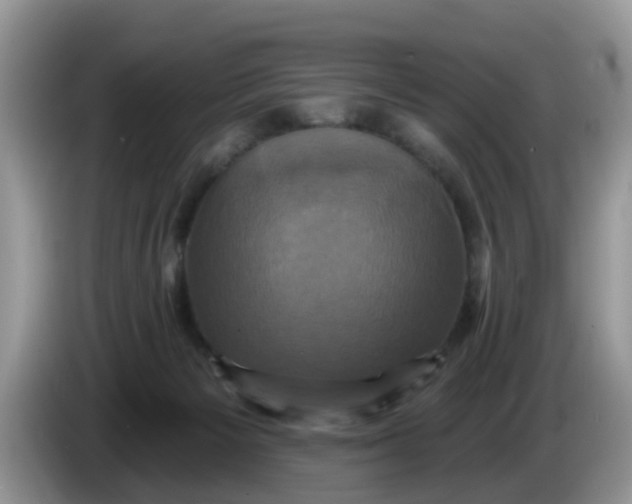 X0000086220125200704121904