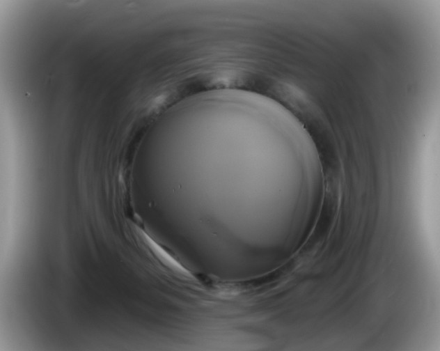 X0000086220127200704121904