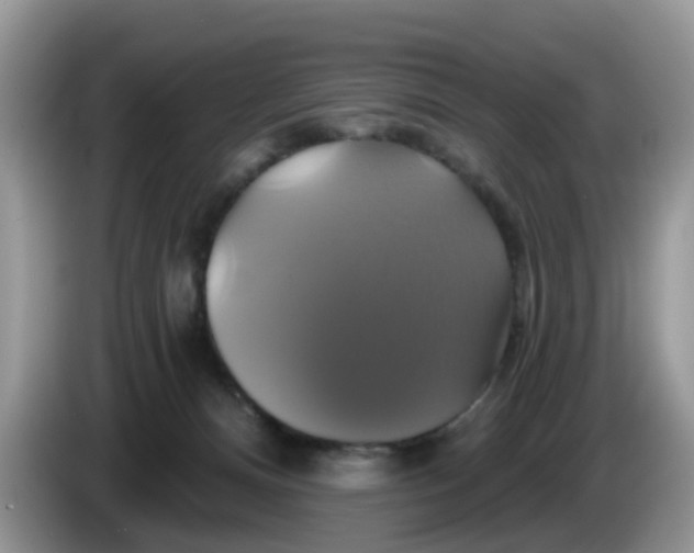 X0000086220128200704121904