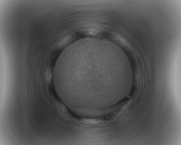 X0000086220129200704121904