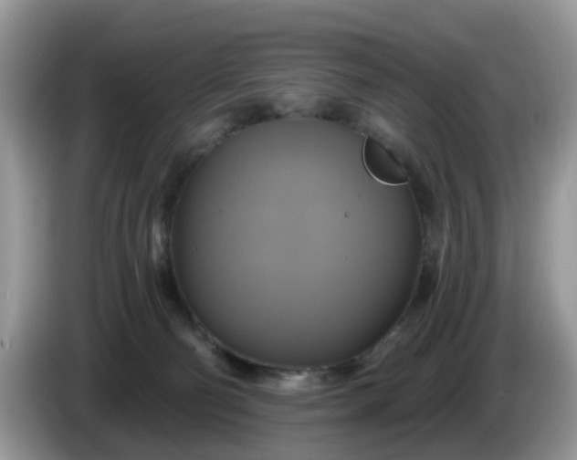 X0000086220130200704121904