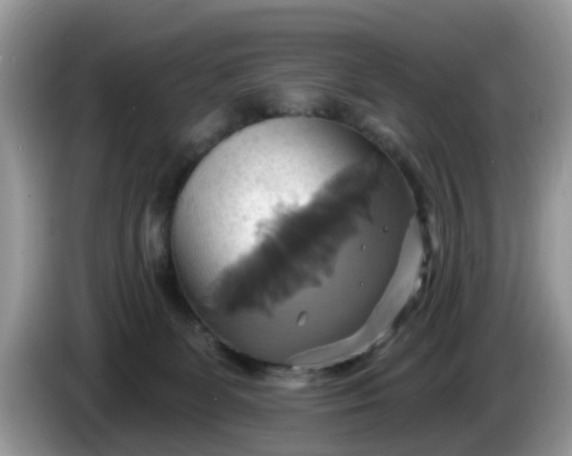 X0000086220131200704121904