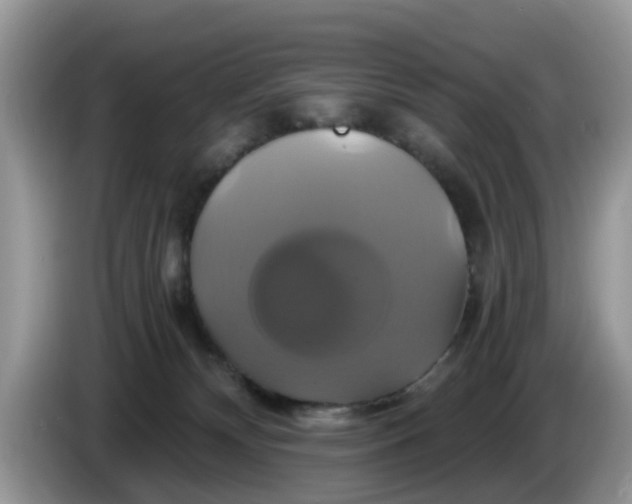 X0000086220132200704121904