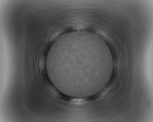 X0000086220133200704121904