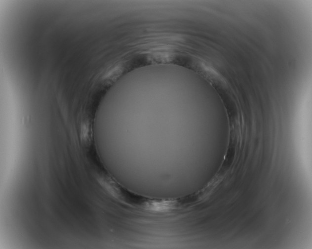 X0000086220134200704121904