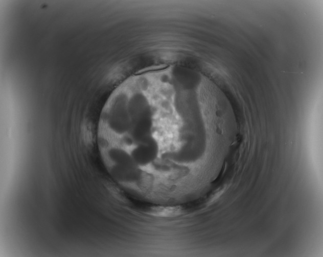 X0000086220135200704121904