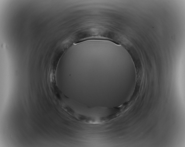 X0000086220137200704121904