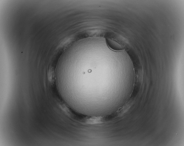 X0000086220138200704121904