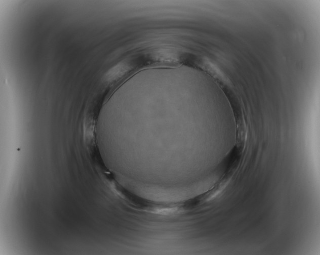 X0000086220141200704121904