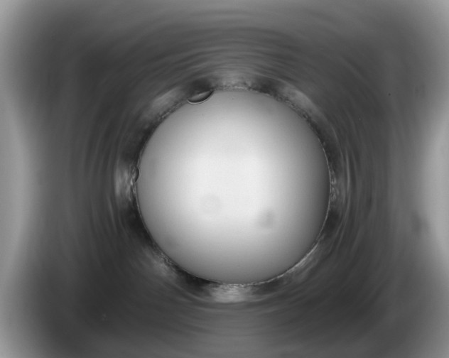 X0000086220142200704121904