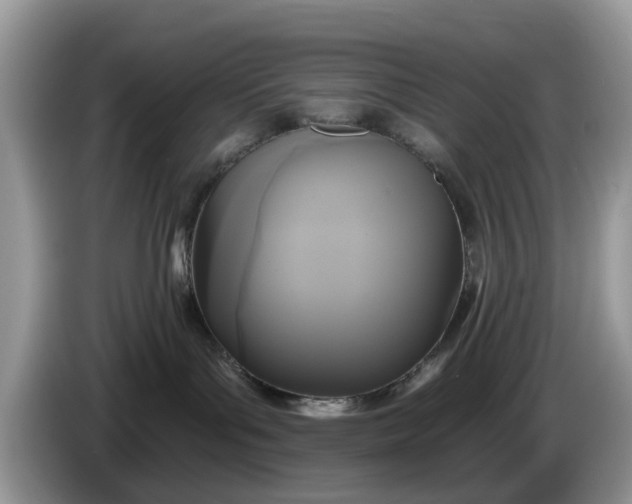 X0000086220143200704121904