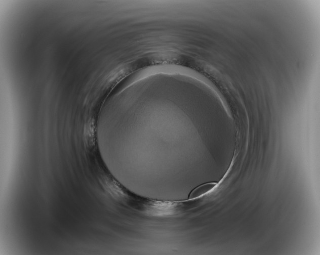 X0000086220144200704121904