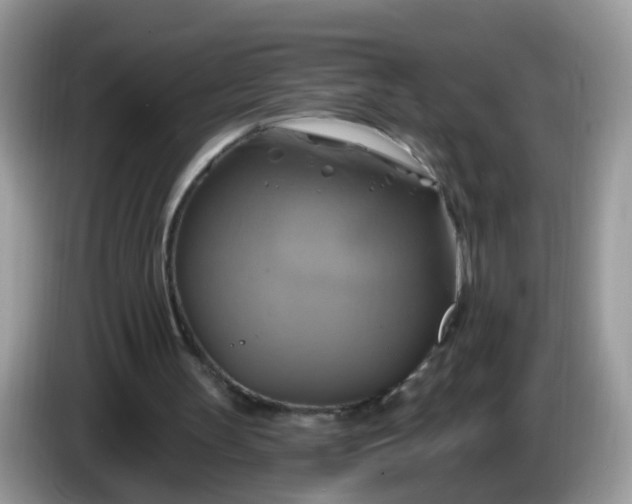 X0000086220147200704121903