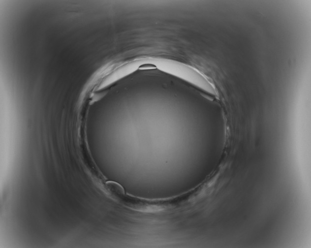 X0000086220149200704121903