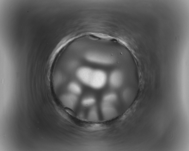 X0000086220151200704121903