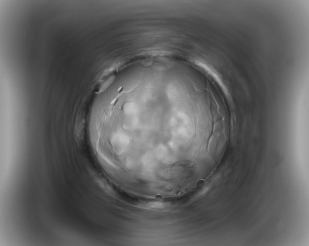 X0000086220153200704121903