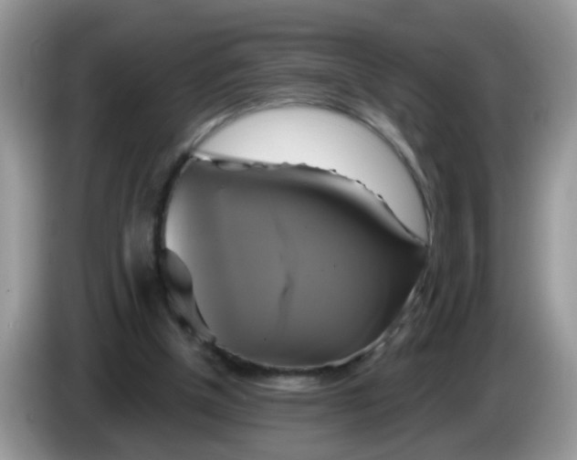 X0000086220154200704121903