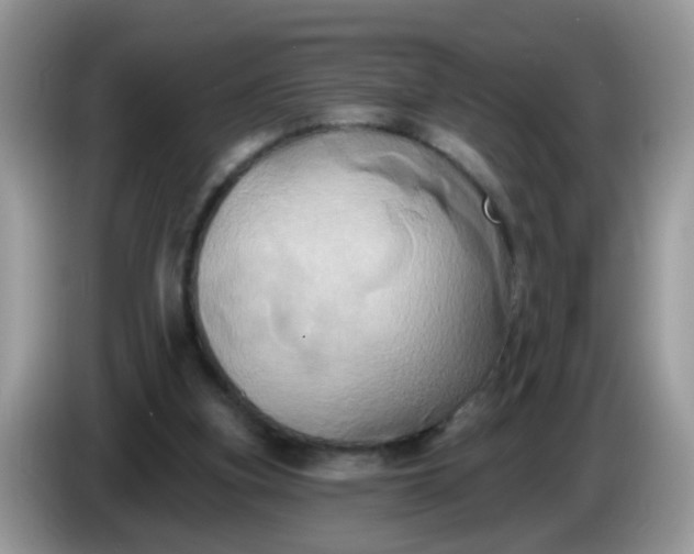 X0000086220155200704121903