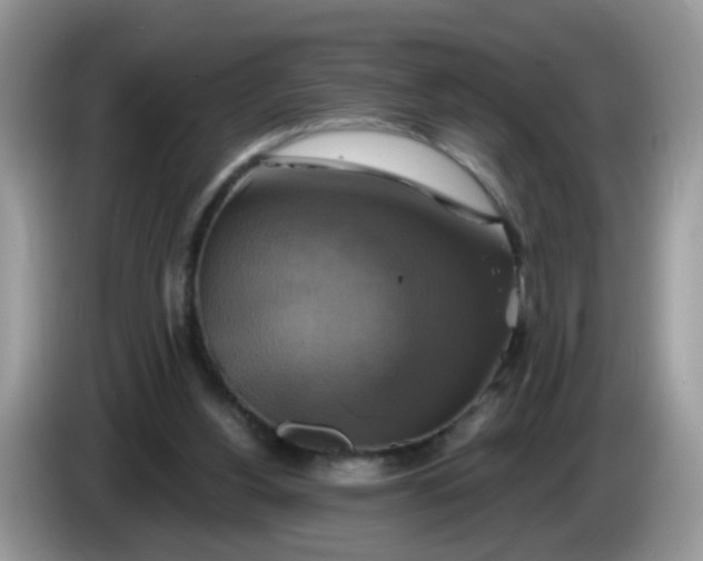 X0000086220156200704121903