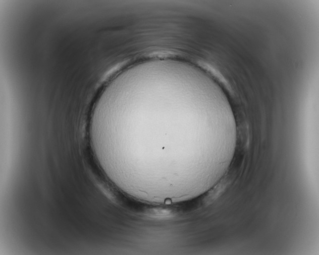 X0000086220159200704121903