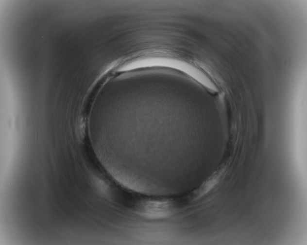 X0000086220160200704121903