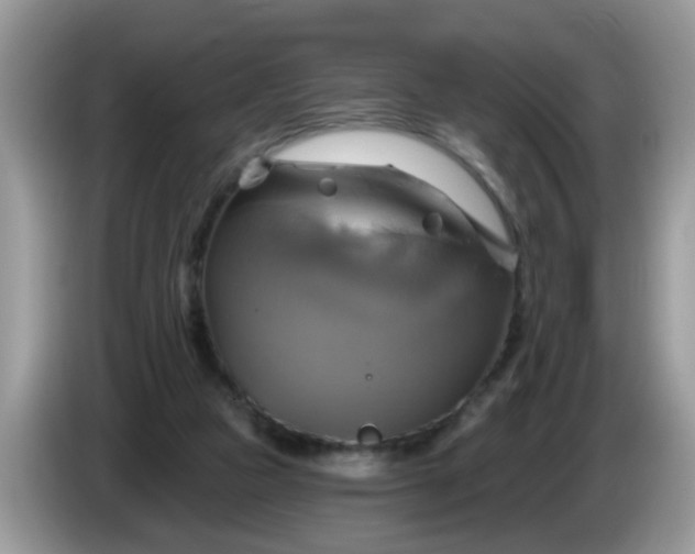 X0000086220161200704121903