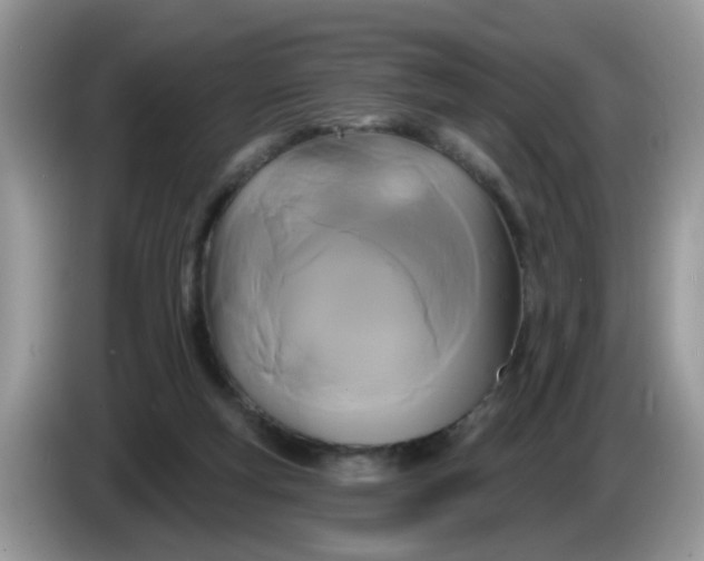 X0000086220163200704121903