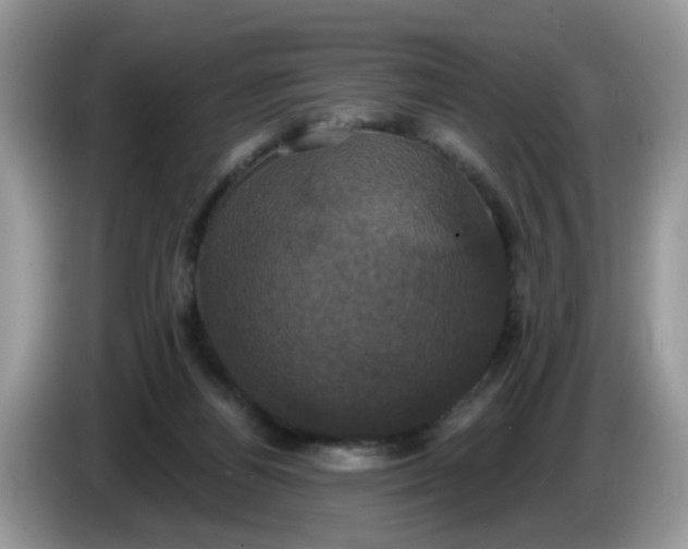 X0000086220164200704121903