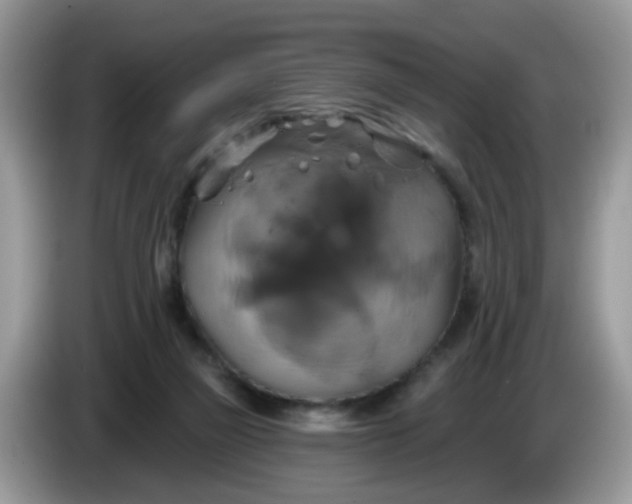 X0000086220165200704121903