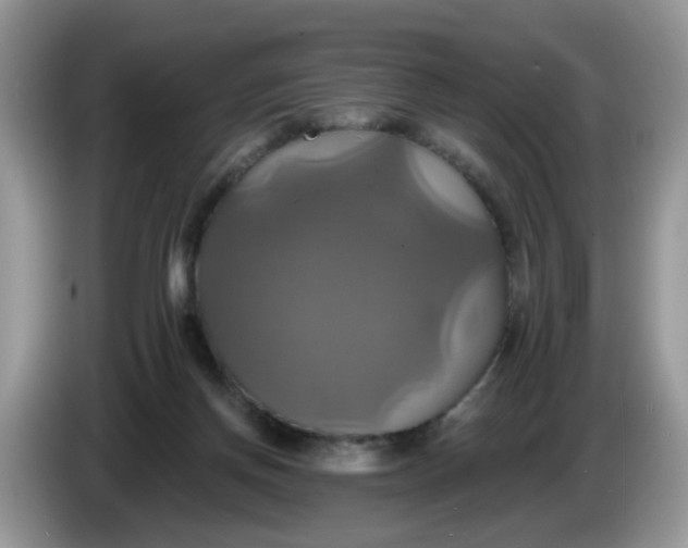 X0000086220166200704121903